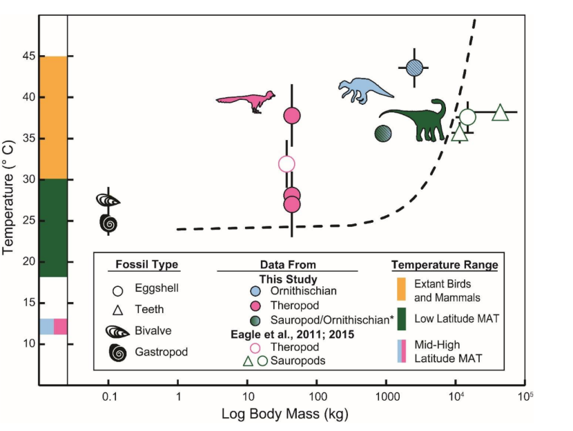 Dinosaur Body Temp. Credit Robin Dawson