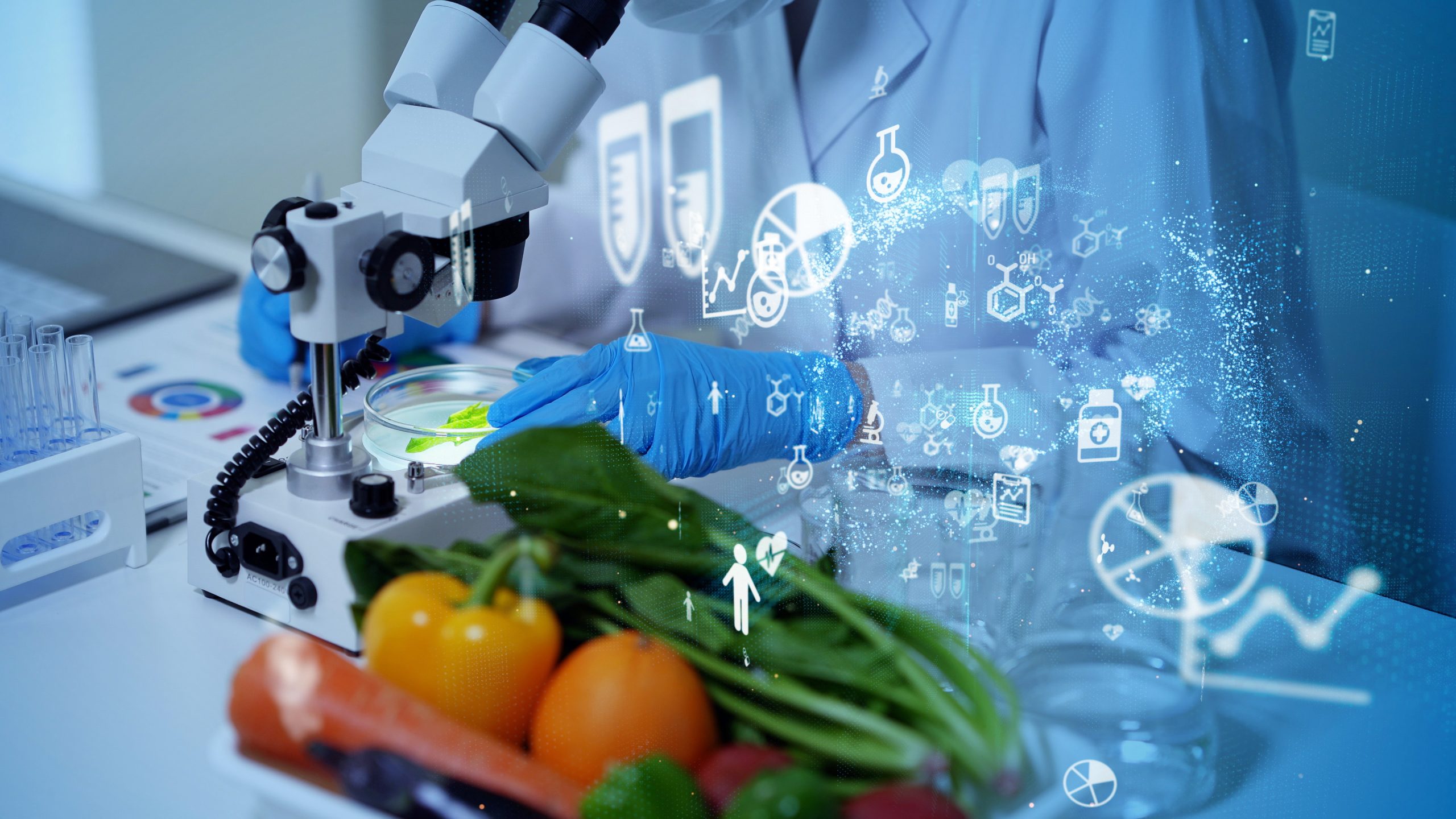 research on food technologies