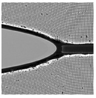 Classical crack moving at half of the sound speed credit Meng Wang Hebrew University