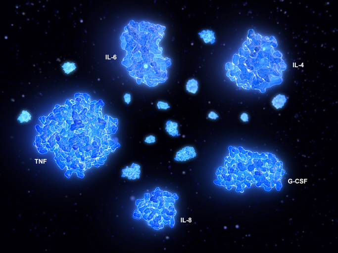 A cytokine storm is a physiological reaction in which the innate immune system causes an uncontrolled and excessive release of pro-inflammatory signaling molecules called cytokines.