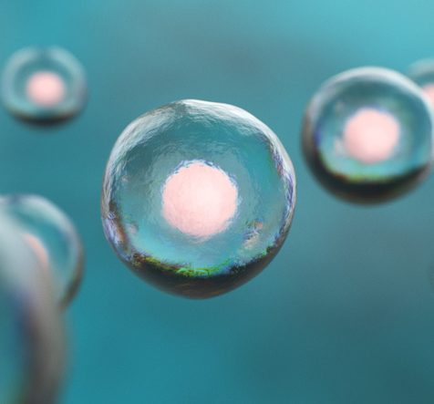 Human embryonic stem cells rendering