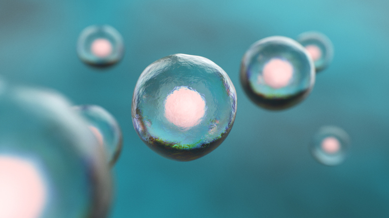 Human embryonic stem cells rendering