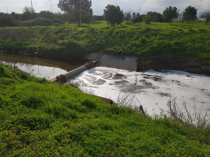 Alexander River Testing Point. Credit The Israeli Estuarine Research Center