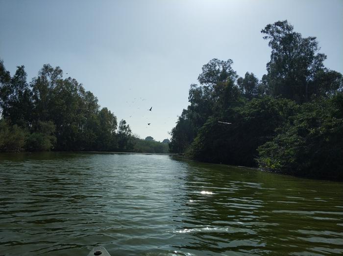 Alexander River. Credit The Israeli Estuarine Research Center