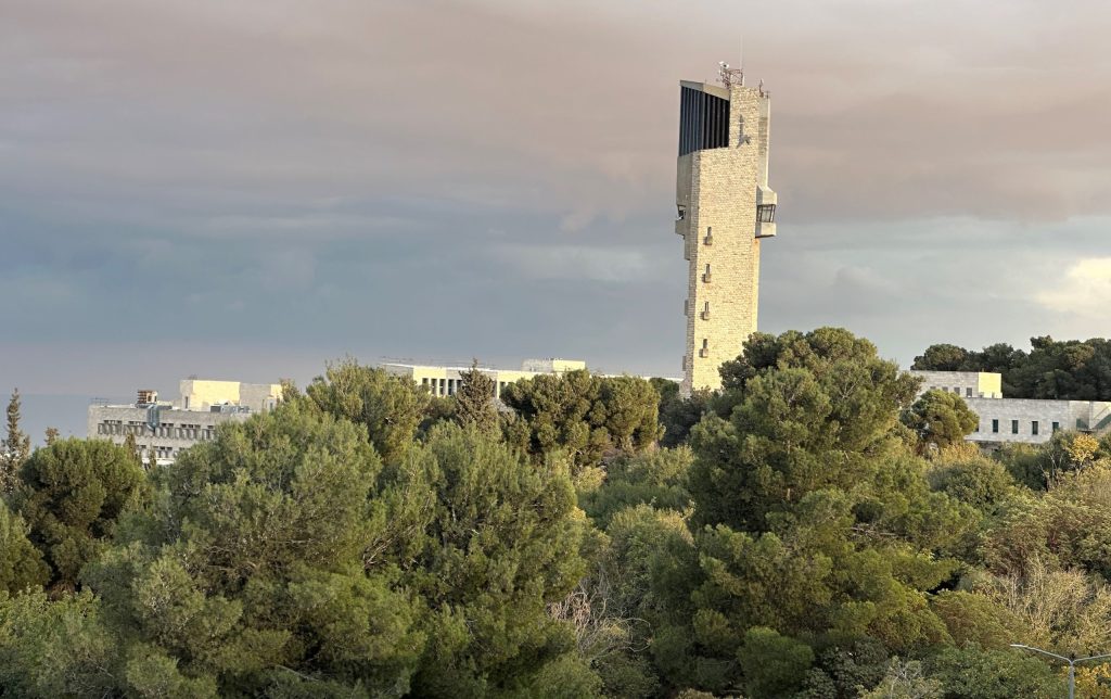 View from the rooftop of the new social sciences building. November 2024.